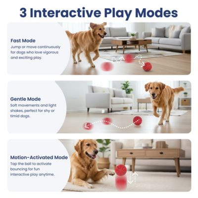 Image showing  Smart Bounce Interactive Dog Toy, Small
