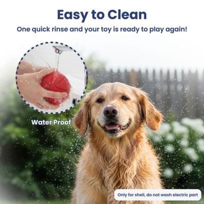 Image showing  Smart Bounce Interactive Dog Toy, Small