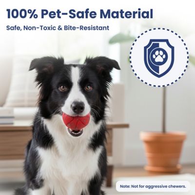 Image showing  Smart Bounce Interactive Dog Toy, Small