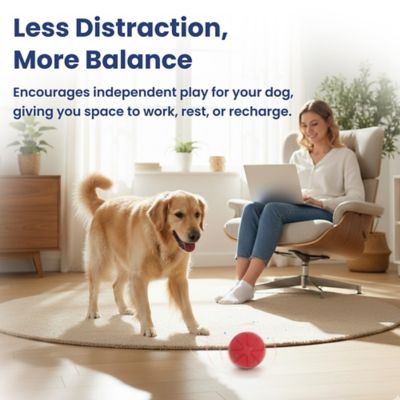 Image showing 6 th PawsPik Smart Bounce Interactive Dog Toy, Small
