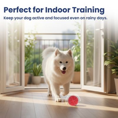 Image showing 7 th PawsPik Smart Bounce Interactive Dog Toy, Small