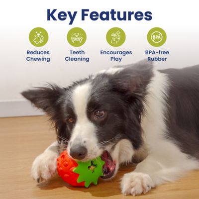 Image showing  Strawberry Treat Dispensing Enrichment Dog Chew Toy