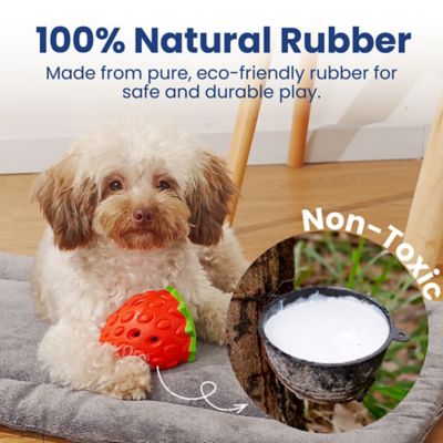 Image showing  Strawberry Treat Dispensing Enrichment Dog Chew Toy