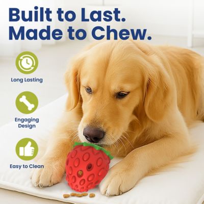 Image showing  Strawberry Treat Dispensing Enrichment Dog Chew Toy