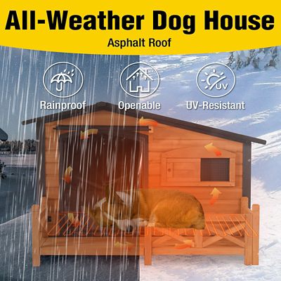 Image showing 8 th Aivituvin Outdoor Large Heated Dog House with Metal Frame