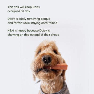 Image showing  Himalayan Yak Strawberry Flavor Dog Chew Treats, 0.5 lb.