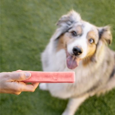 Image showing  Himalayan Yak Strawberry Flavor Dog Chew Treats, 1 lb.