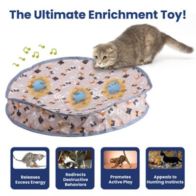 Image showing  Interactive Fast Rolling Play Mat Ball Cat Toy, Tan