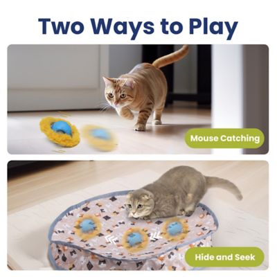Image showing  Interactive Fast Rolling Play Mat Ball Cat Toy, Tan