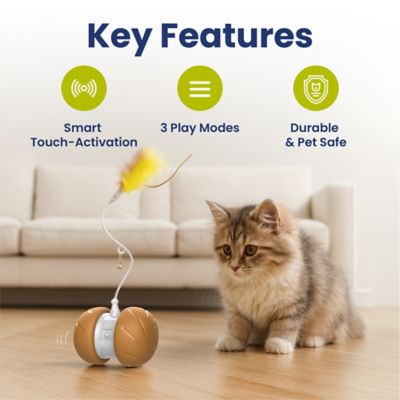 Image showing  Feather Tail Rechargeable Spinner Chasers Cat Toy, Orange