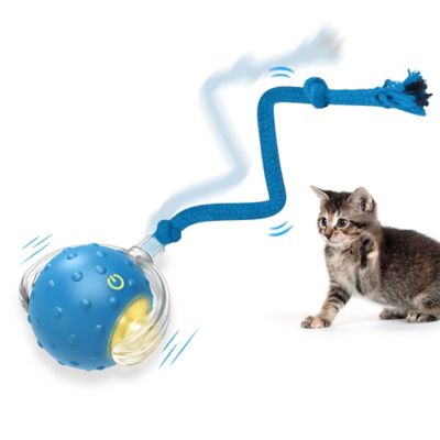 PawsPik Chirp & Chase Motion Activated Cat Ball with LED Lights, Blue