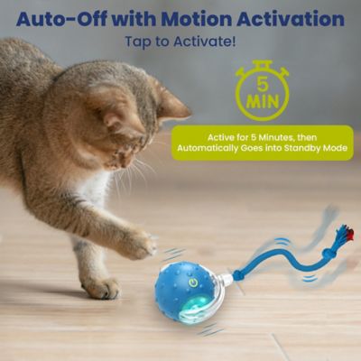 Image showing  Chirp & Chase Motion Activated Cat Ball with LED Lights, Blue