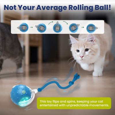 Image showing  Chirp & Chase Motion Activated Cat Ball with LED Lights, Blue