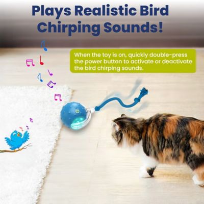 Image showing  Chirp & Chase Motion Activated Cat Ball with LED Lights, Blue