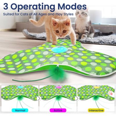 Image showing  Interactive Hide & Seek Concealed Feather Cat Toy, Green