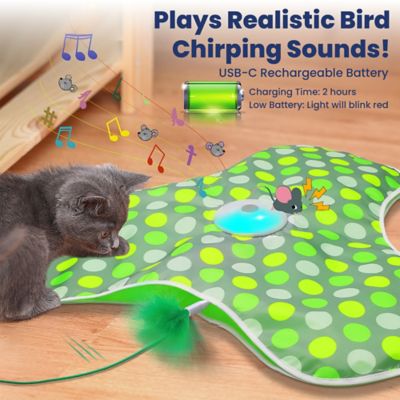 Image showing  Interactive Hide & Seek Concealed Feather Cat Toy, Green