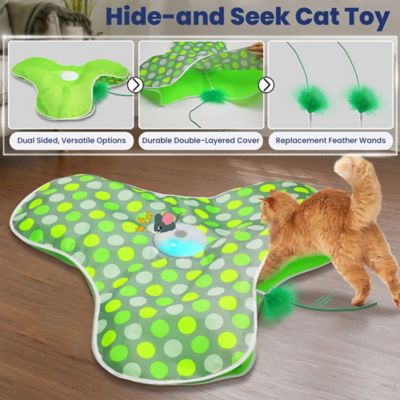 Image showing  Interactive Hide & Seek Concealed Feather Cat Toy, Green