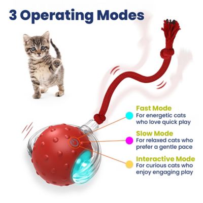 Image showing 5 th PawsPik Chirp & Chase Motion Activated Cat Ball with LED Lights, Red