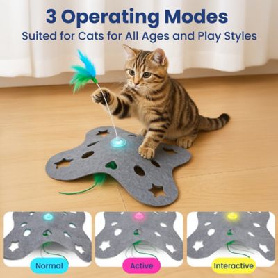 Image showing  Tumbling 3-in-1 Hide & Seek Cat Toy