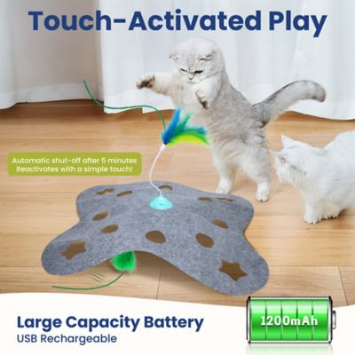 Image showing  Tumbling 3-in-1 Hide & Seek Cat Toy