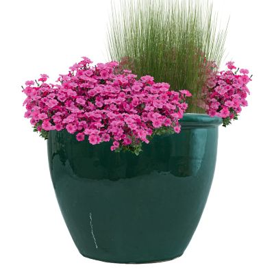 Image showing  14.5 in. Chalet Glazed Ceramic Planter - Dark Green