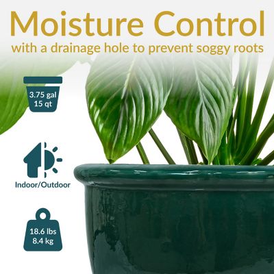 Image showing  14.5 in. Chalet Glazed Ceramic Planter - Dark Green