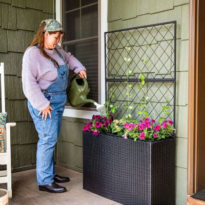 Image showing  3-Section Wicker Planter Box with Trellis - Black