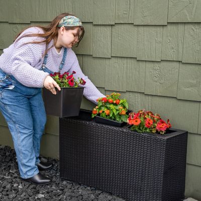 Image showing  3-Section Wicker Planter Box - Black