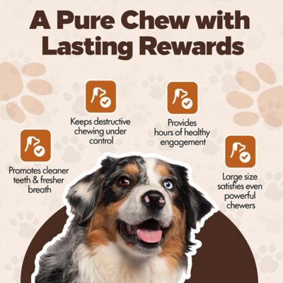 Image showing 5 th The Treat Shack Knotted 8 to 9-in Natural Flavor Rawhide Bone Dog Treats, 6 ct.