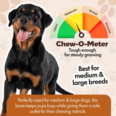 Image showing  Knotted 8 to 9-in Natural Flavor Rawhide Bone Dog Treats, 3 ct.