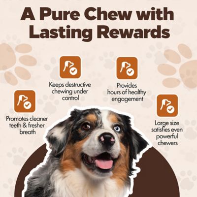 Image showing 5 th The Treat Shack Knotted 8 to 9-in Natural Flavor Rawhide Bone Dog Treats, 3 ct.