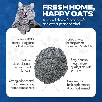 Image showing 5 th Scoochie Pet Products Clever Clump X-Tra Strength Unscented Natural Bentonite Cat Litter, 18.5-lb. box