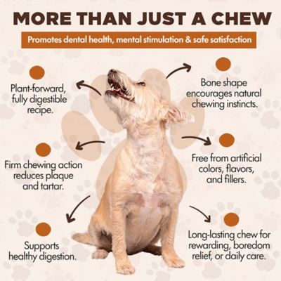 Image showing  Chewka Chicken Flavored Plant-Forward Fully Digestible Dog Chew Bone, Medium, 1 CT