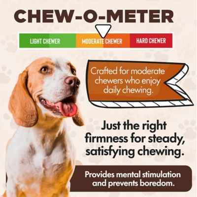 Image showing  Chewka Bacon Flavored Plant-Forward Fully Digestible Dog Chew Bone, Large, 6 CT