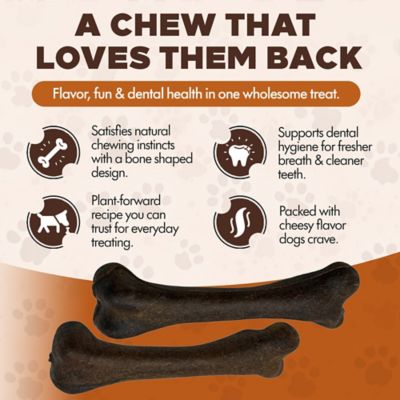 Image showing  Chewka Cheese Flavored Plant-Forward Fully Digestible Dog Chew Bone, Medium, 1 CT