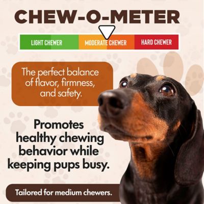Image showing  Chewka Bacon Flavored Plant-Forward Fully Digestible Dog Chew Bone, Medium, 3 CT