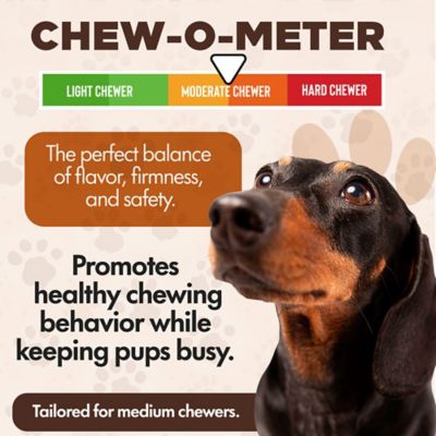 Image showing  Chewka Bacon Flavored Plant-Forward Fully Digestible Dog Chew Bone, Medium, 1 CT