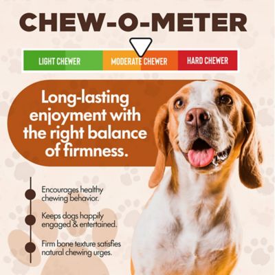 Image showing  Mixed Variety Pack Bacon, Chicken & Cheese Flavored Plant-Forward Dog Chew Bone, Medium, 12 CT