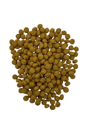 Image showing 1 th Scoochie Pet Products Chewka Real Meat Peanut Butter Flavor Training Bites Dog Treats, 4.5-oz. Bag