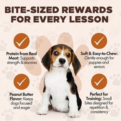 Image showing 5 th Scoochie Pet Products Chewka Real Meat Peanut Butter Flavor Training Bites Dog Treats, 4.5-oz. Bag