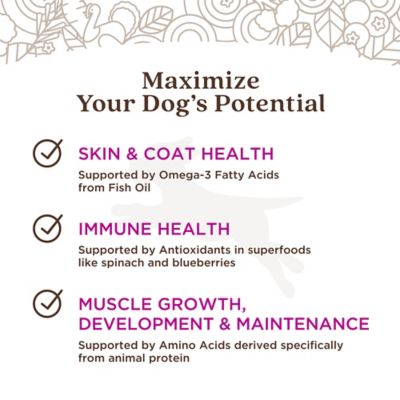 Image showing  Freshly Crafted Homestead Turkey Recipe Frozen Human-Grade Dog Food