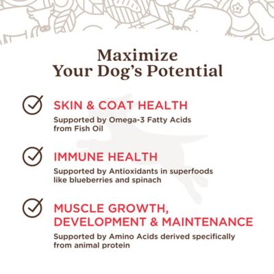 Image showing  Freshly Crafted Ranch Raised Beef Recipe Frozen Human-Grade Dog Food