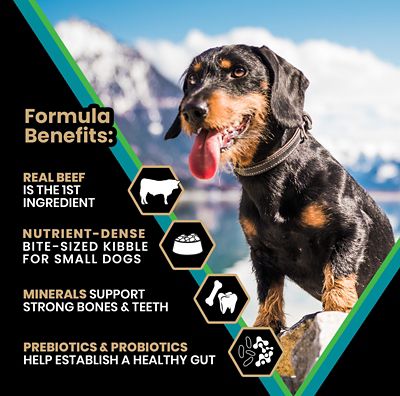 Image showing  Hi-Pro Plus Small Breed Adult Beef and Brown Rice Recipe Dry Dog Food