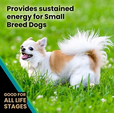 Image showing  Hi-Pro Plus Small Breed Adult Beef and Brown Rice Recipe Dry Dog Food