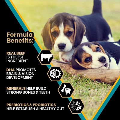 Image showing  Hi-Pro Plus Small and Medium Breed Puppy Beef and Brown Rice Dry Dog Food