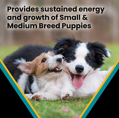 Image showing  Hi-Pro Plus Small and Medium Breed Puppy Beef and Brown Rice Dry Dog Food