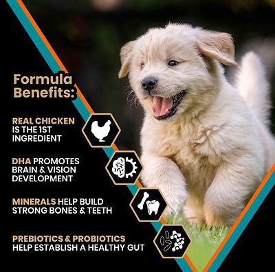 Image showing  Hi-Pro Plus Large Breed Puppy Chicken and Brown Rice Recipe Dry Dog Food