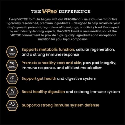 Image showing  Hi-Pro Plus Large Breed Puppy Chicken and Brown Rice Recipe Dry Dog Food