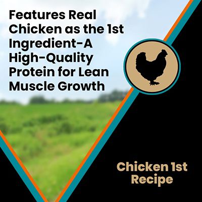 Image showing 5 th Victor Hi-Pro Plus Large Breed Puppy Chicken and Brown Rice Recipe Dry Dog Food