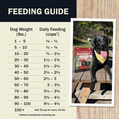 Image showing 6 th Redbarn Beef Recipe High-Protein Air Dried Dog Food